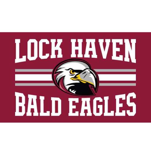 Bald Eagles Flag