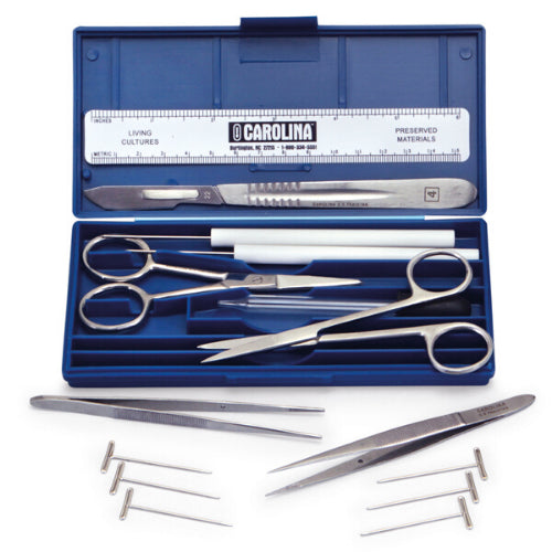 Comparative Anatomy Set