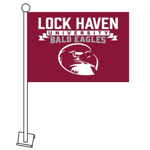 Bald Eagles Car Flag