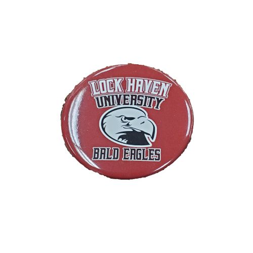 Bald Eagles Pin