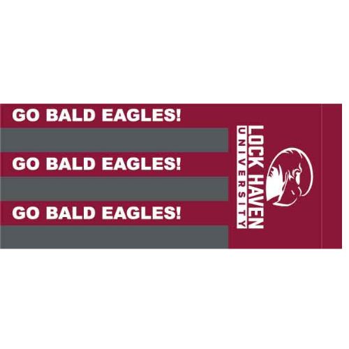 Bald Eagles Windsock
