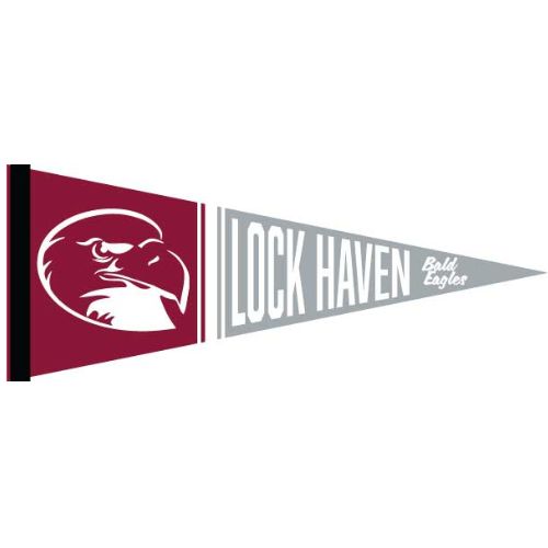 Bald Eagles Pennant