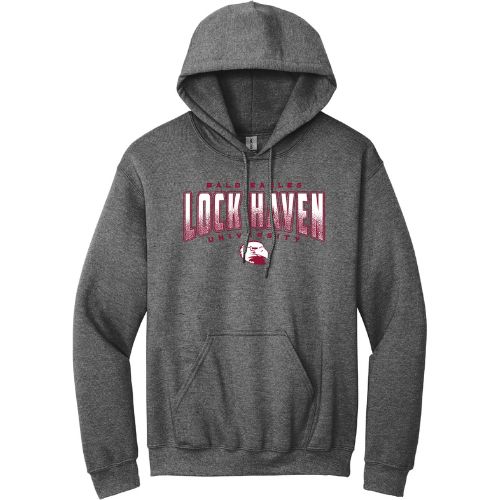 Lock Haven Bald Eagles Spray Paint Design Hoodie