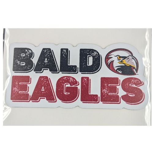 Bald Eagles Magnet