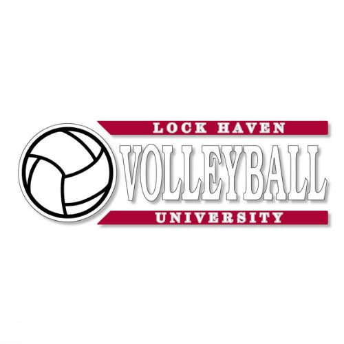 Volleyball Decal