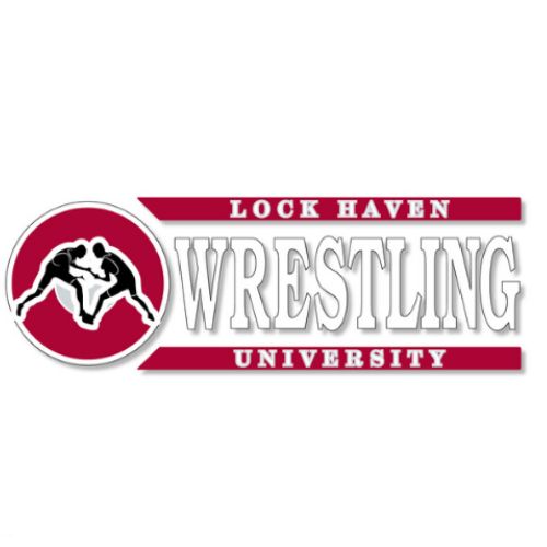 Wrestling Decal