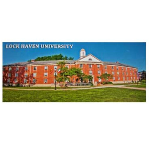 Panoramic Lock Haven University Postcard