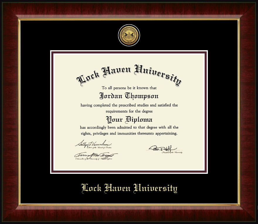 Murano Gold Engraved Medallion Diploma Frame