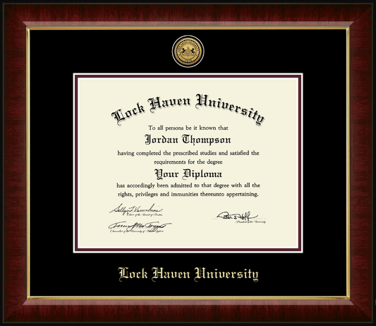 Murano Gold Engraved Medallion Diploma Frame