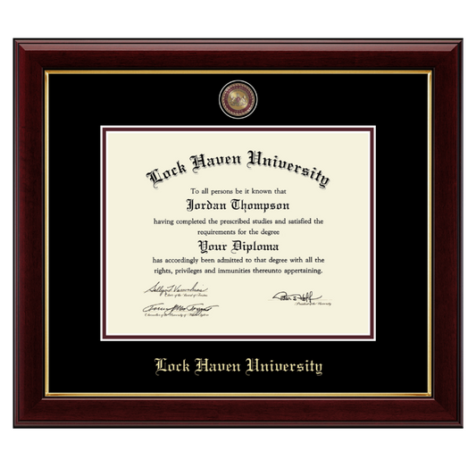 Murano Gold Engraved Medallion Diploma Frame