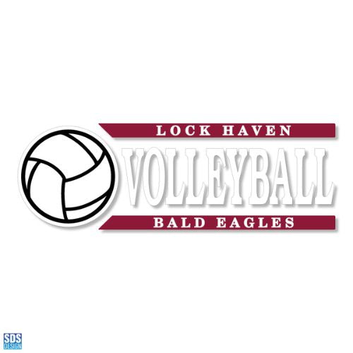 Volleyball Decal