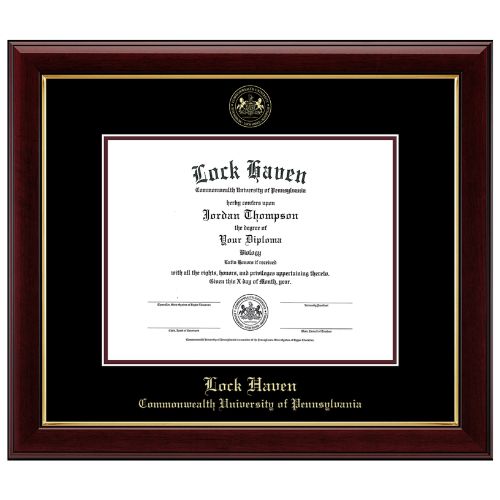 Gold Embossed Gallery Diploma Frame LHCU