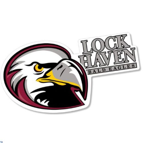 8" Eagle Head Logo Magnet